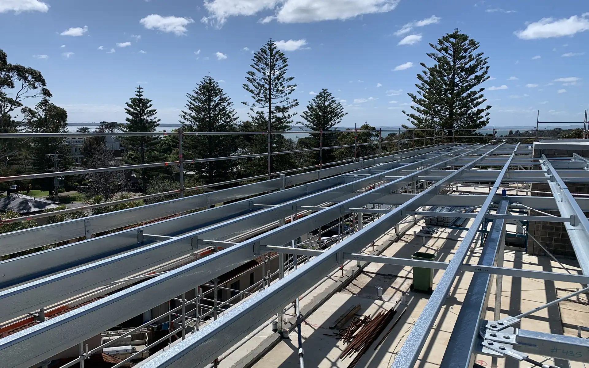 Metal roof sheeting and purlins