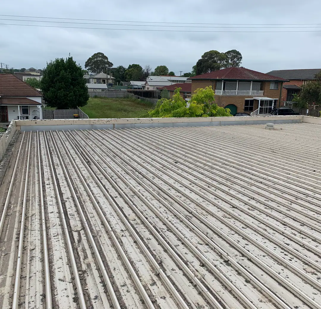 Large commercial metal roof with lichen growth, due for maintenance